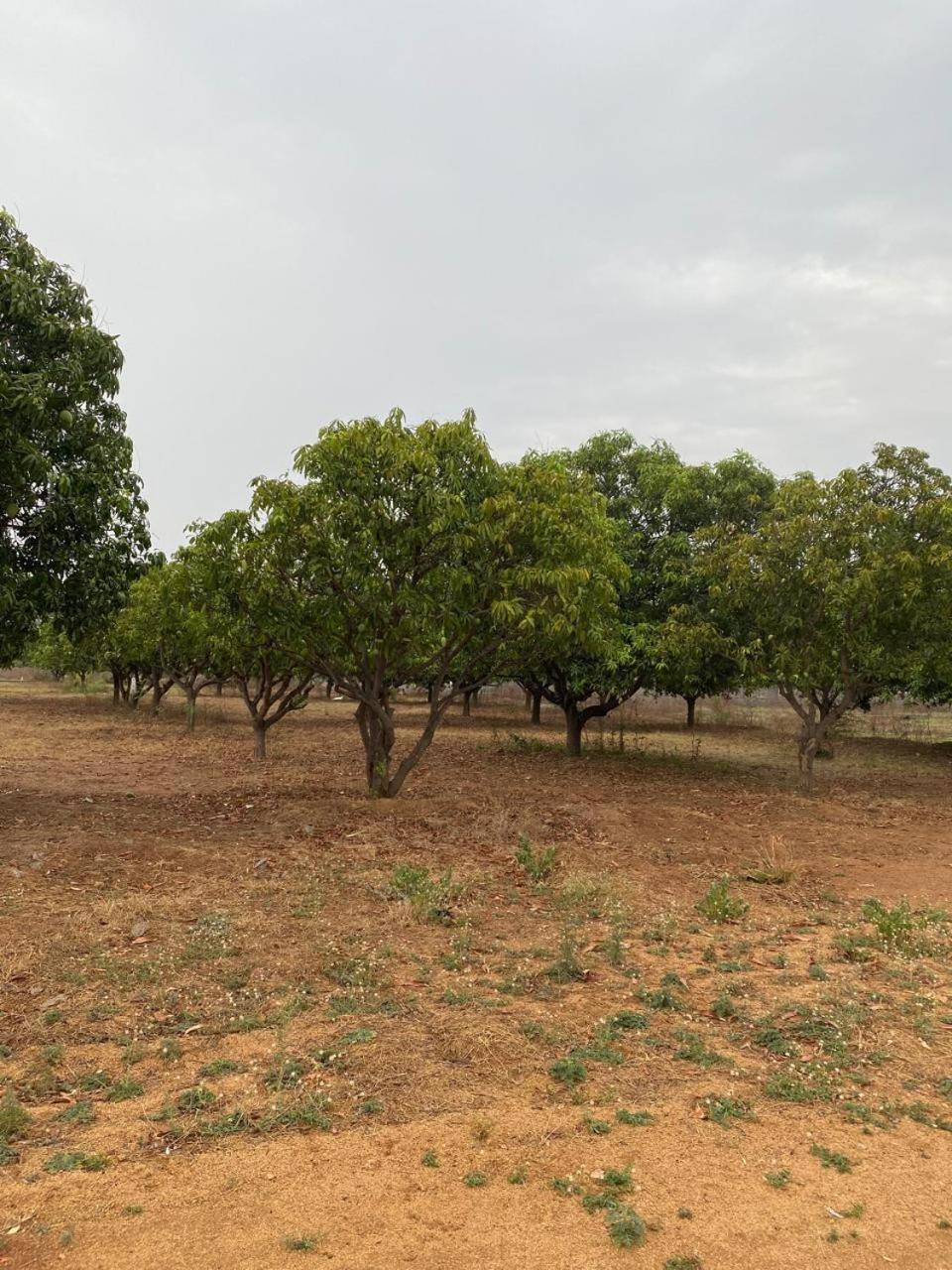 Pn Farm Villa Hyderabad Ngoại thất bức ảnh