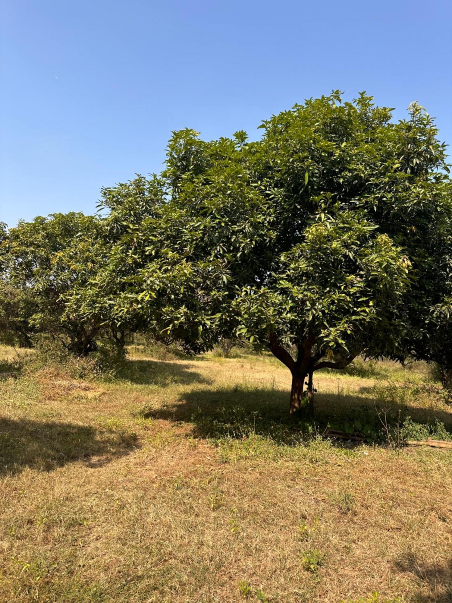 Pn Farm Villa Hyderabad Ngoại thất bức ảnh
