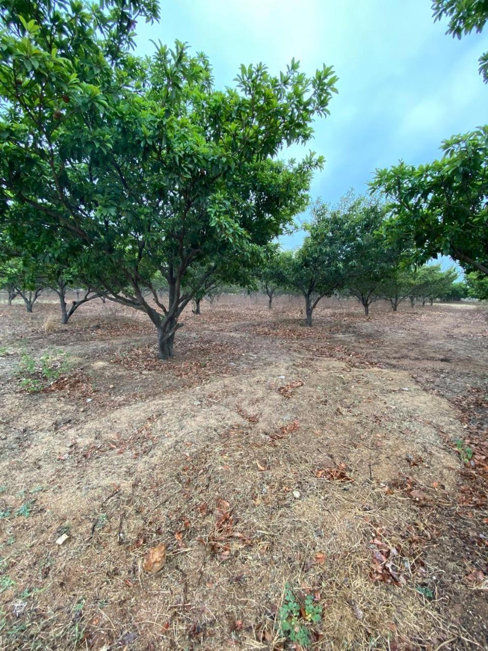 Pn Farm Villa Hyderabad Ngoại thất bức ảnh